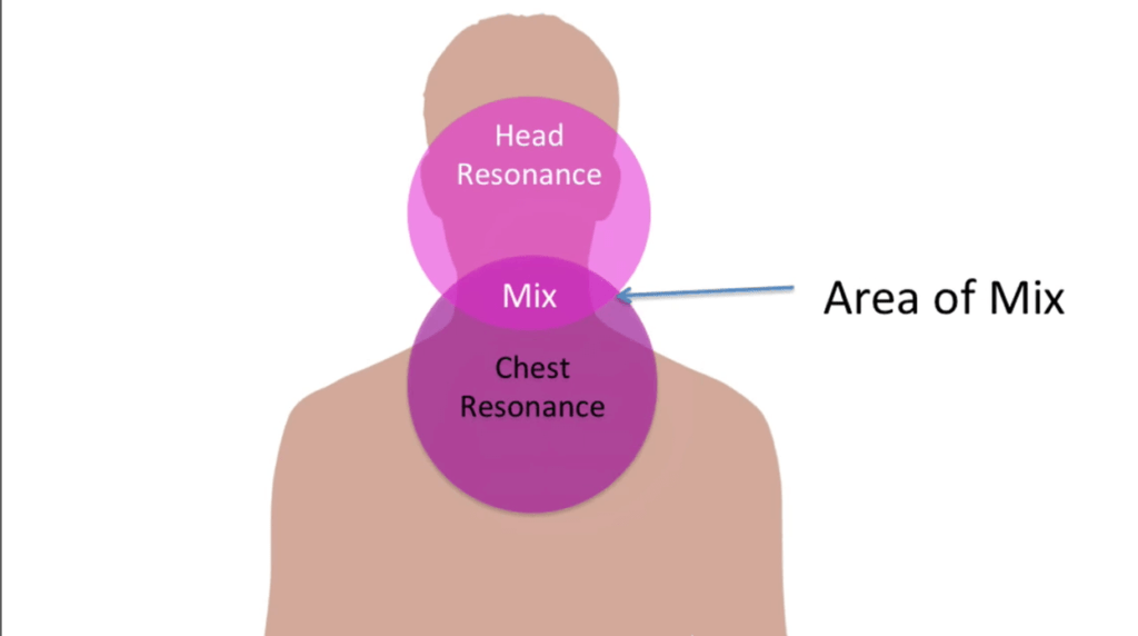 the mix between head and chest voice