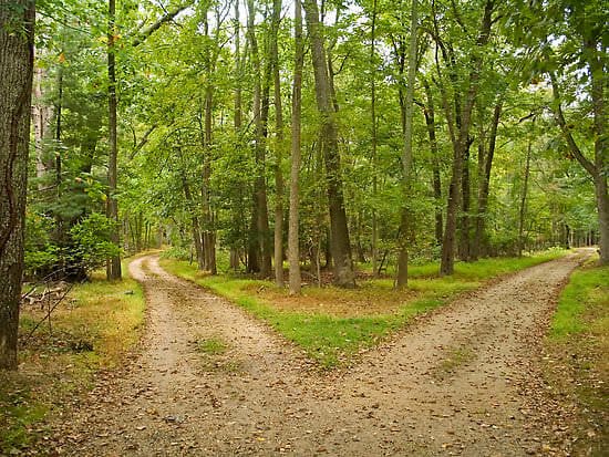 Two-Roads.jpg