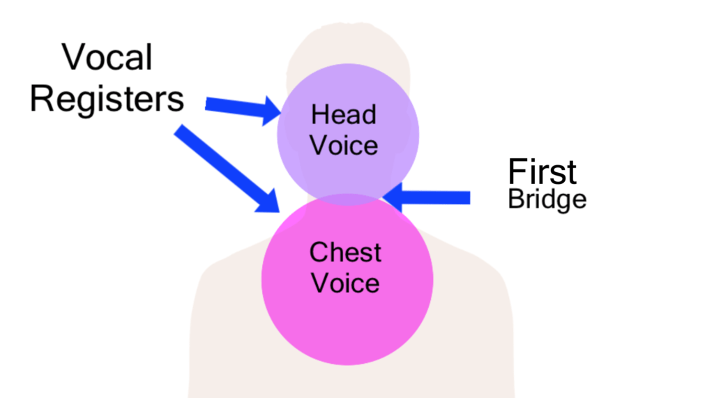 10 Singing Techniques To Improve Your Singing Voice Ramsey Voice Studio