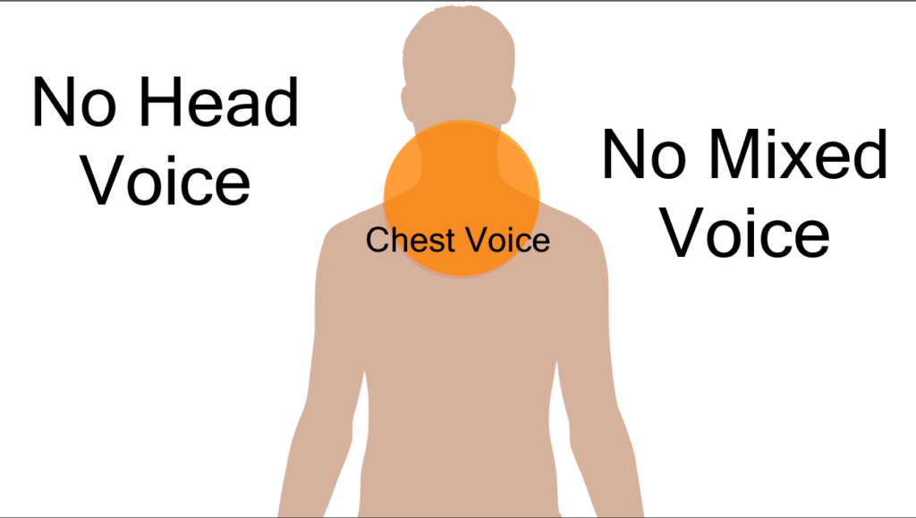 a diagram showing where chest singing voice comes from