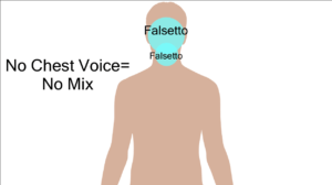 highlighted area in head where falsetto appears to come from