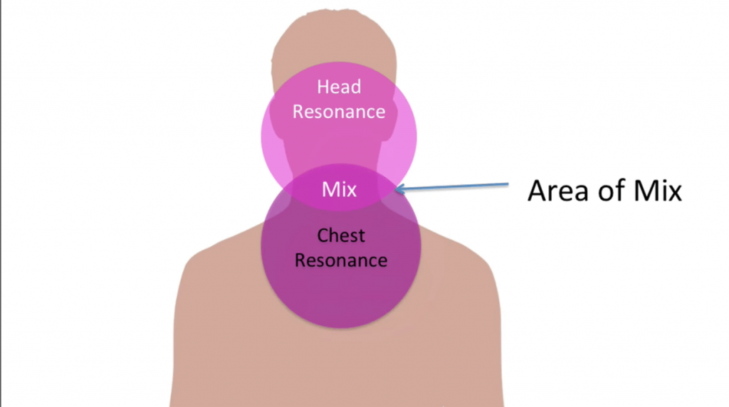 a diagram showing the chest voice, head voice and mix voice