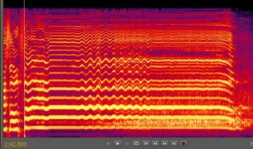 A spectogram of a wavering vibrato