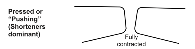 accorciamenti delle corde vocali completamente contratti