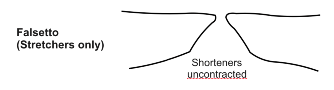 vocal chord shorteners when singing falsetto