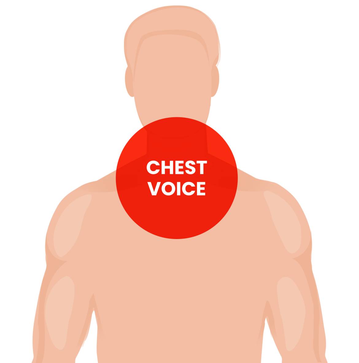 Chest-voice.jpg