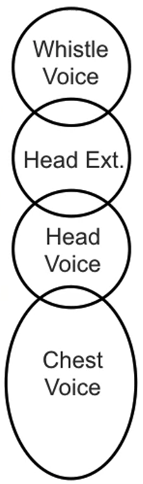 A chart showing chest voice, head voice, extended head voice and whistle registers.