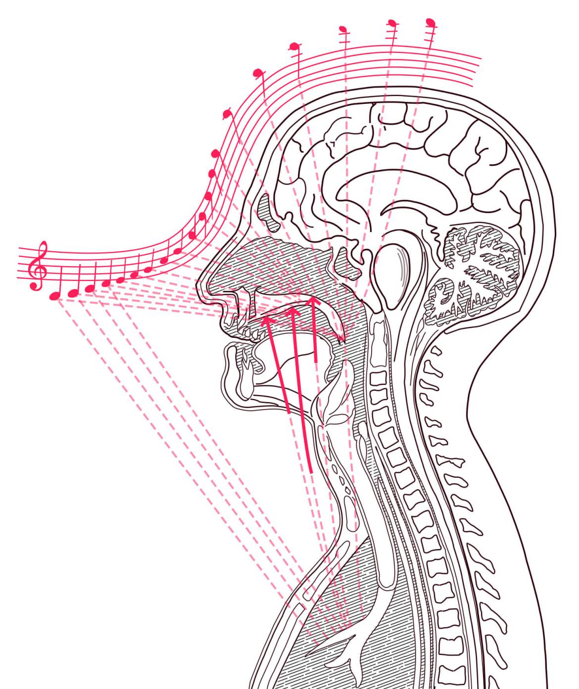 Simplified-image-of-placement_Page147-Compressed.jpg